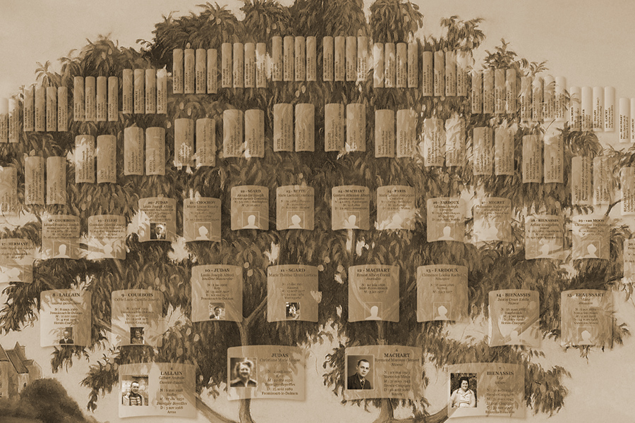 Présentation d'un arbre généalogique